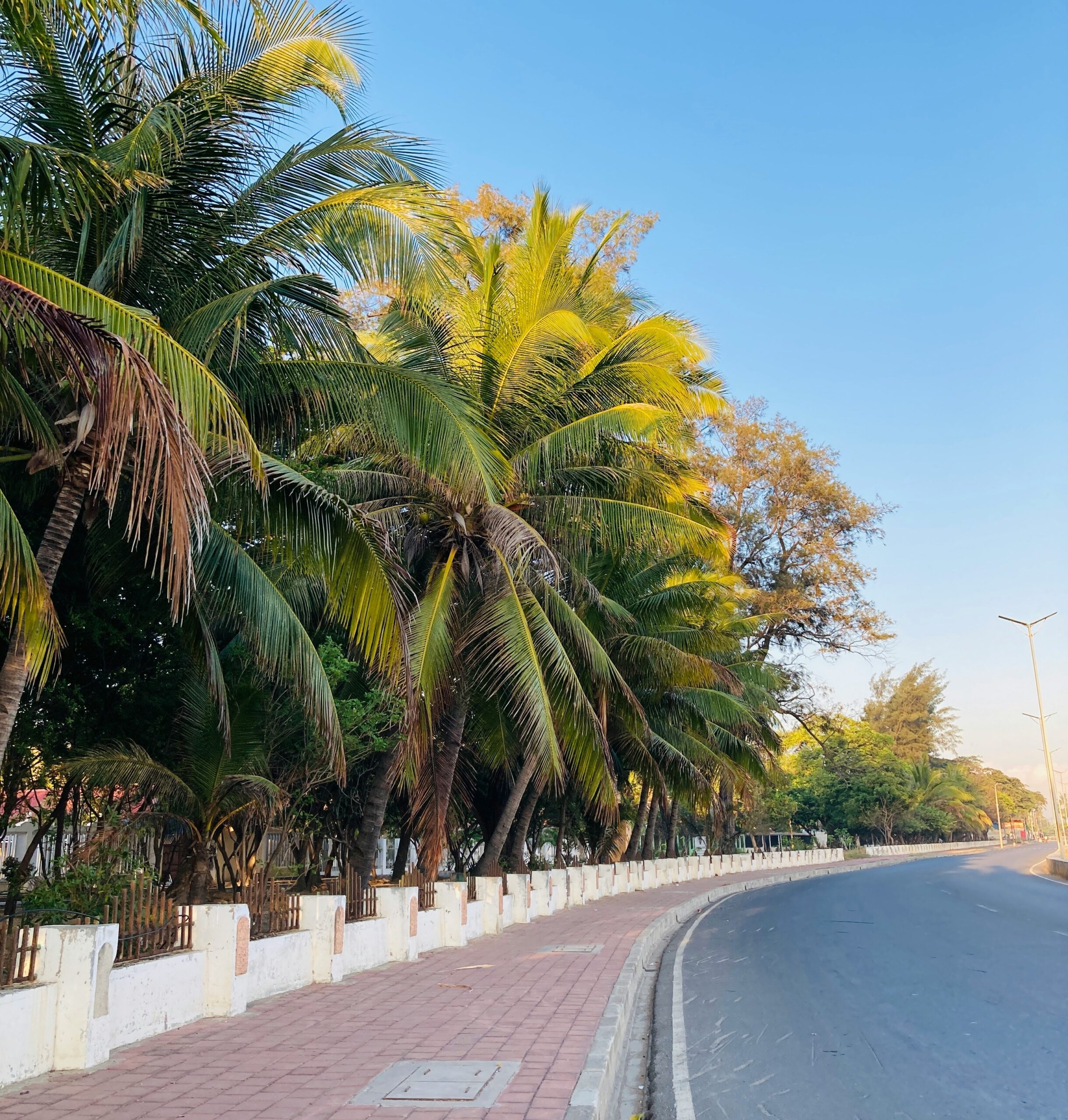 Dili | Chauffeur Service, Executive Protection in East Timor